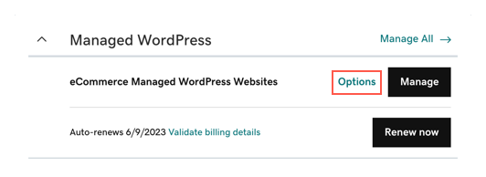GoDaddy hosting product row with Options and Manage controls