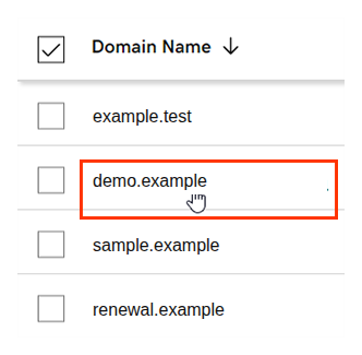 GoDaddy Domain Portfolio list with selectable domain rows