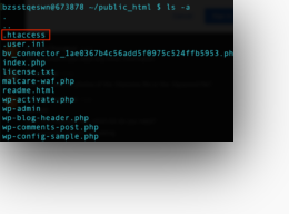 .htaccess file in the WordPress public_html directory