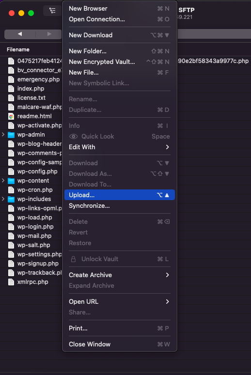 File upload interface for WordPress site files
