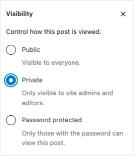 WordPress editor Visibility panel with Private selected