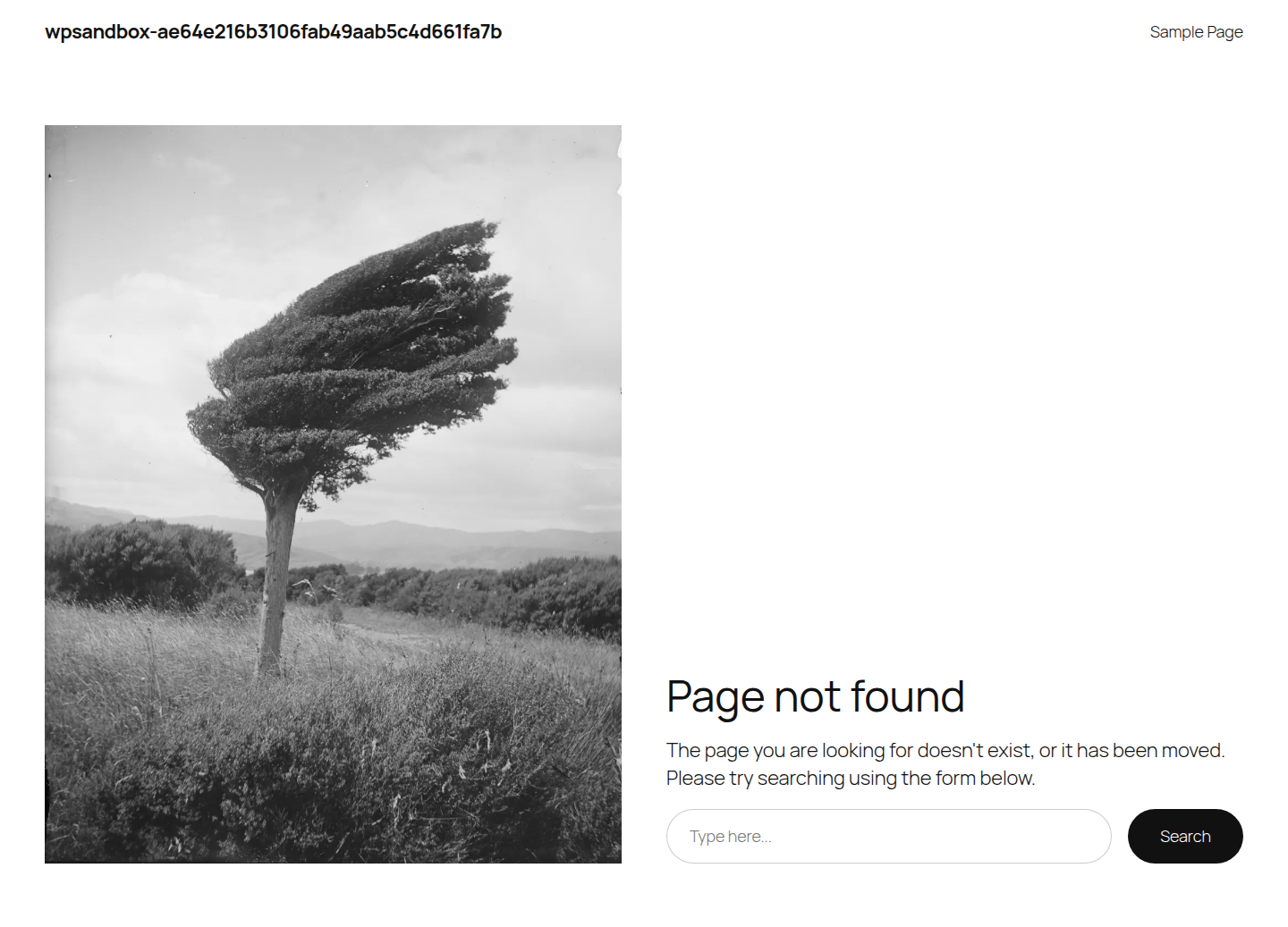 WordPress 404 response for a missing numbered author request