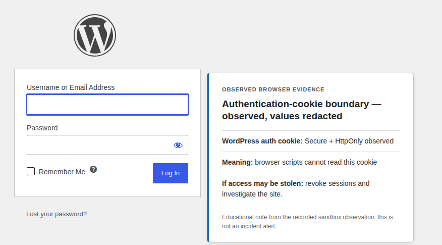 Authentication cookie security boundary