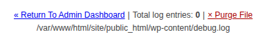 WordPress log viewer showing the debug.log file path and current entry count