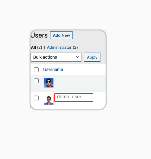 WordPress Users screen for reviewing administrator accounts