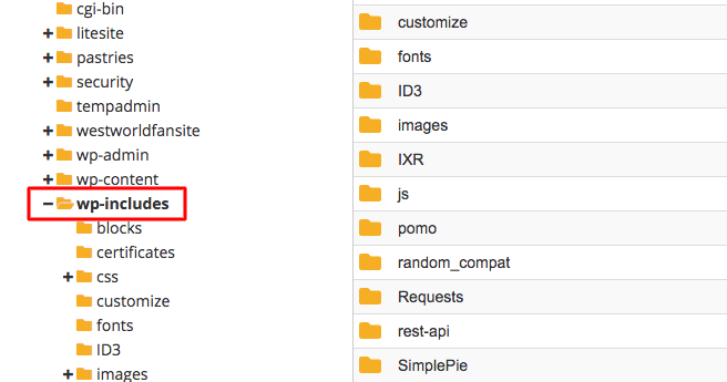 access wp includes folder in file manager