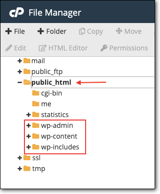wp-content uploads folder in public_html