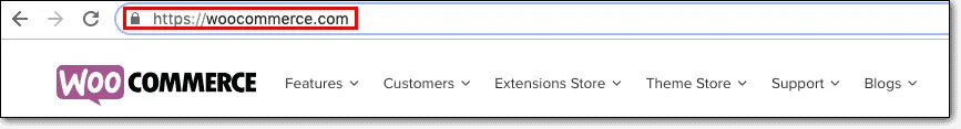A secure URL with the padlock and HTTPS  for WooCommerce security
