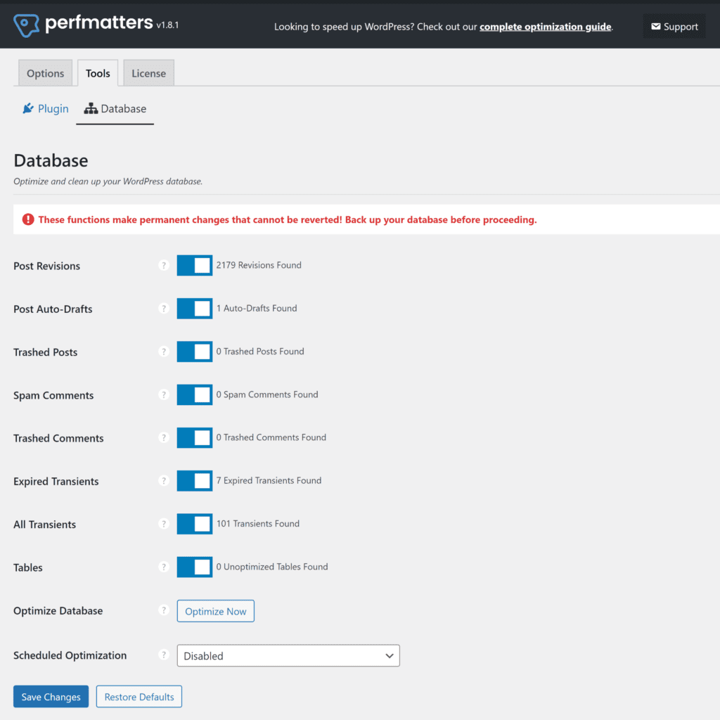 Perfmatters Database Options