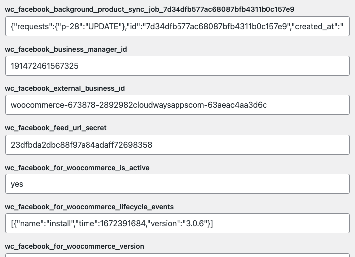 WordPress hidden options page showing Facebook for WooCommerce settings