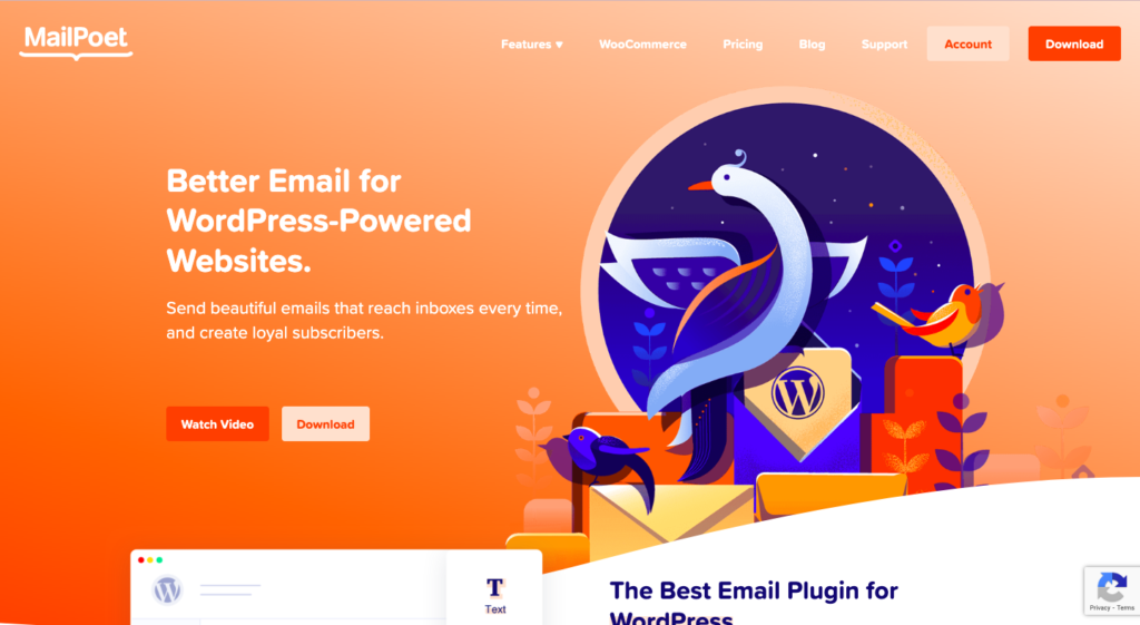 MailPoet