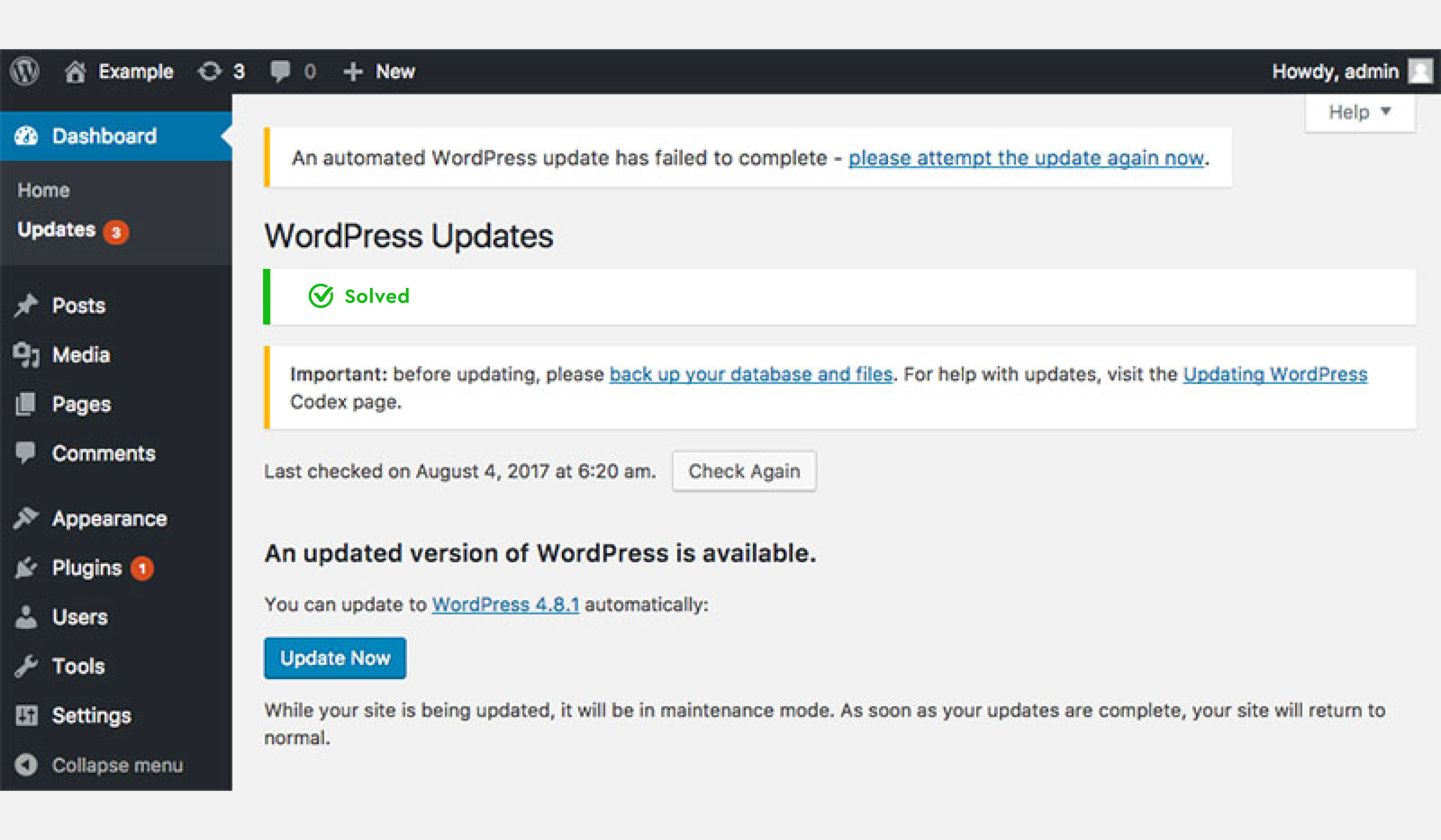 an Automated WordPress Update Has Failed To Complete” Issue