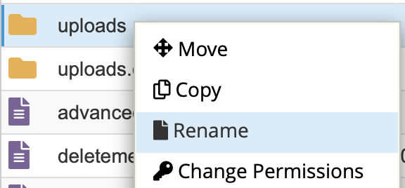 cPanel File Manager Rename option