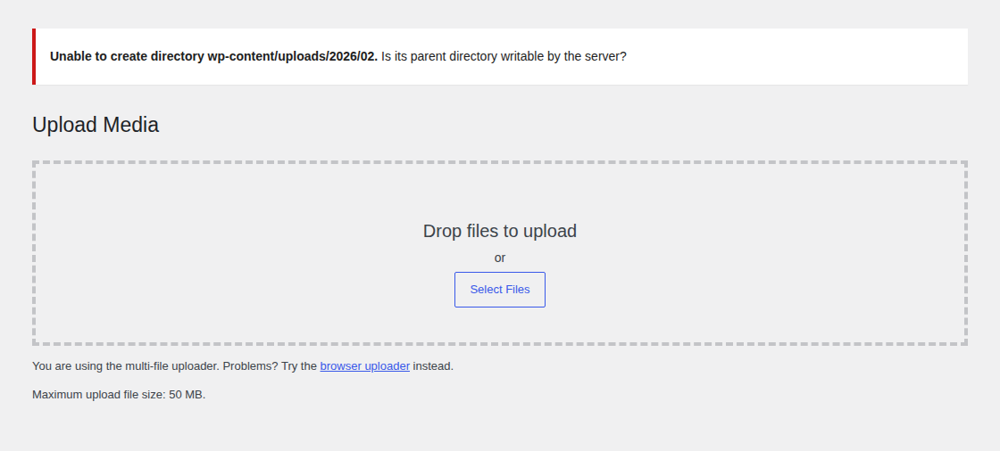 WordPress could not create directory error with uploads path