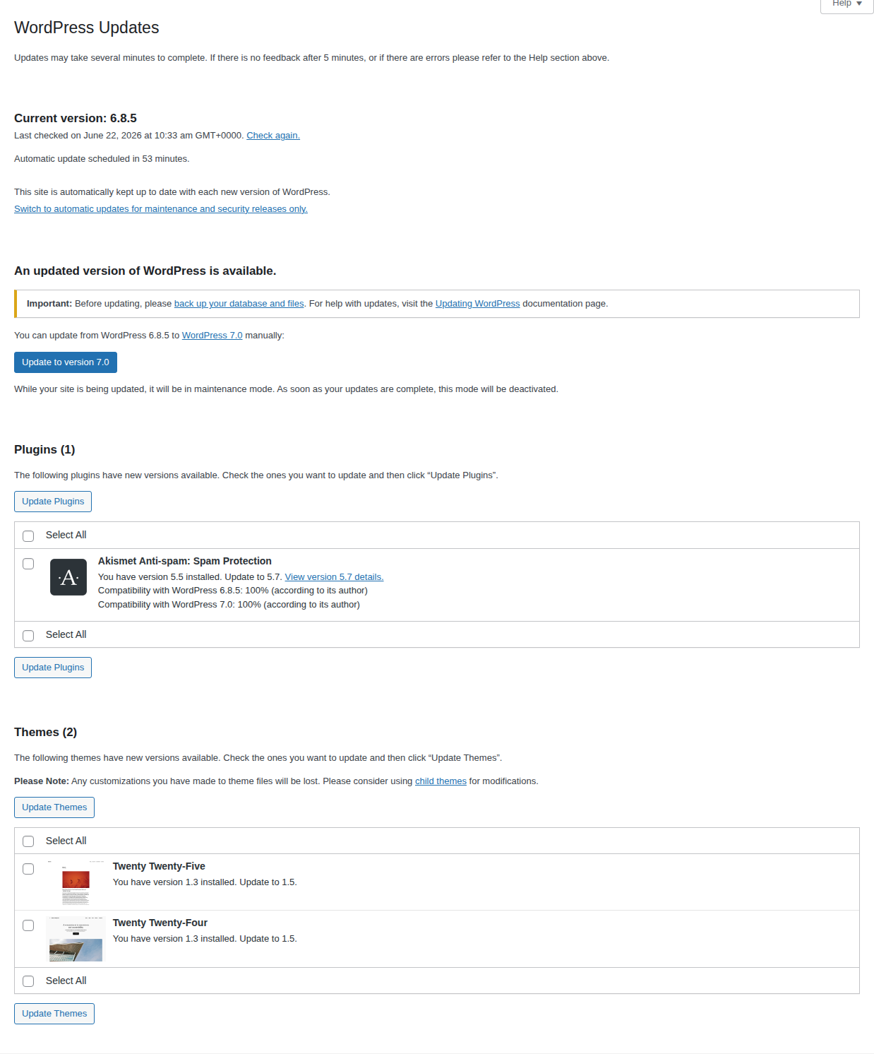 WordPress Updates screen showing core, plugin, and theme update status