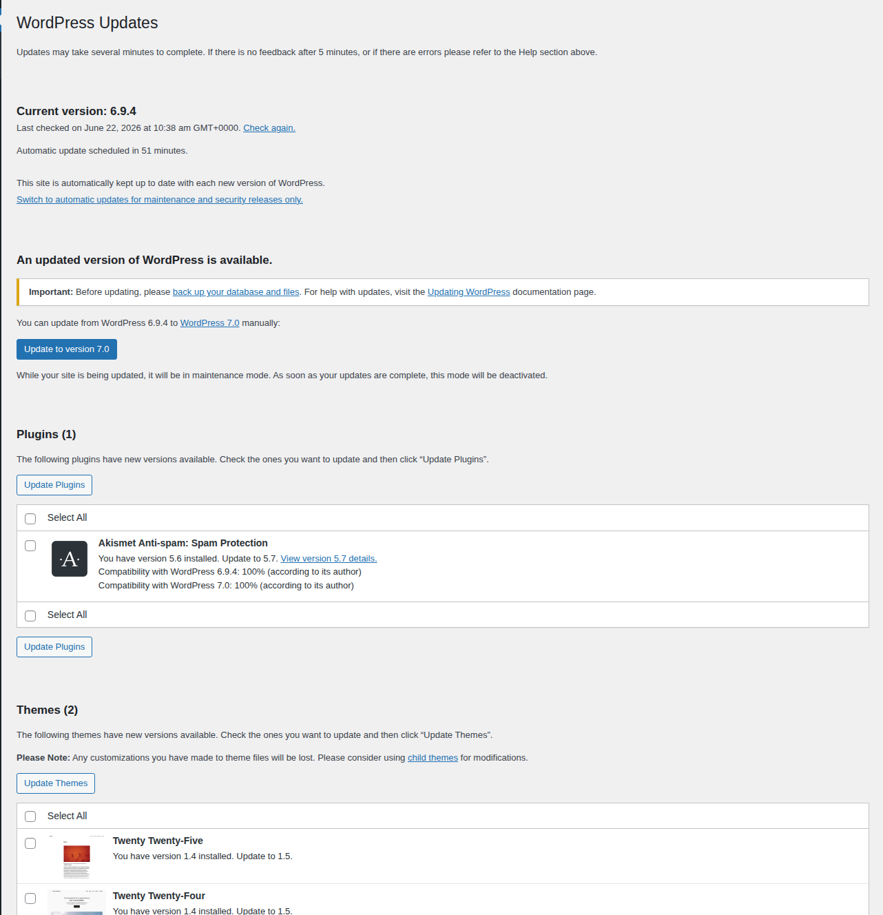WordPress Updates screen for checking core plugin and theme patches