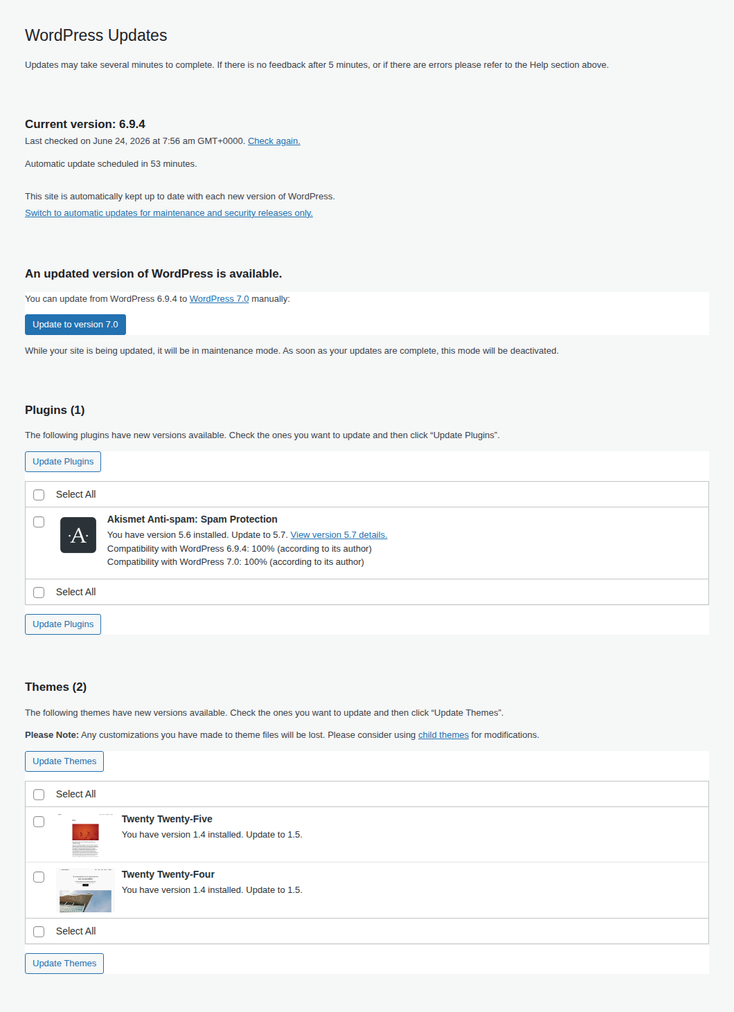 WordPress updates screen for patching core plugins and themes