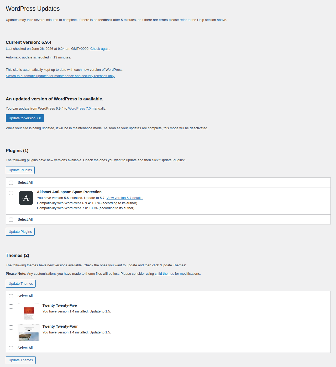 WordPress updates screen for patching core plugins and themes
