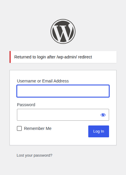 WordPress login form after redirect back to wp-login.php