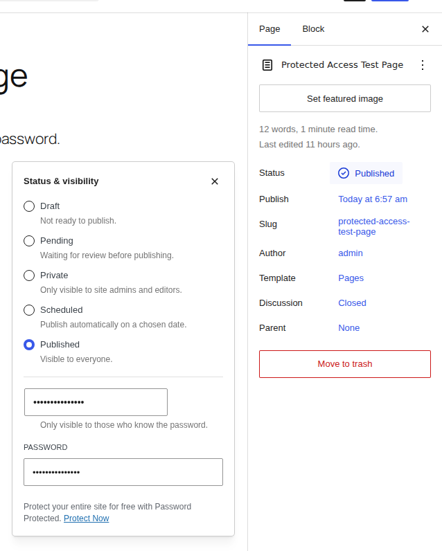 WordPress editor visibility setting set to Password protected