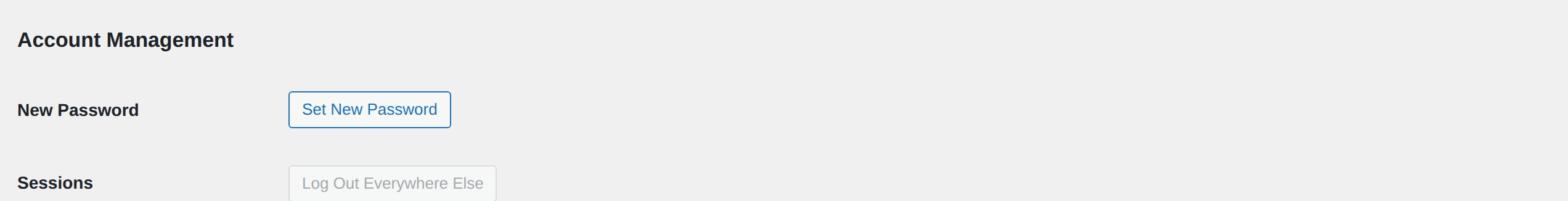 WordPress profile Account Management section with Set New Password button