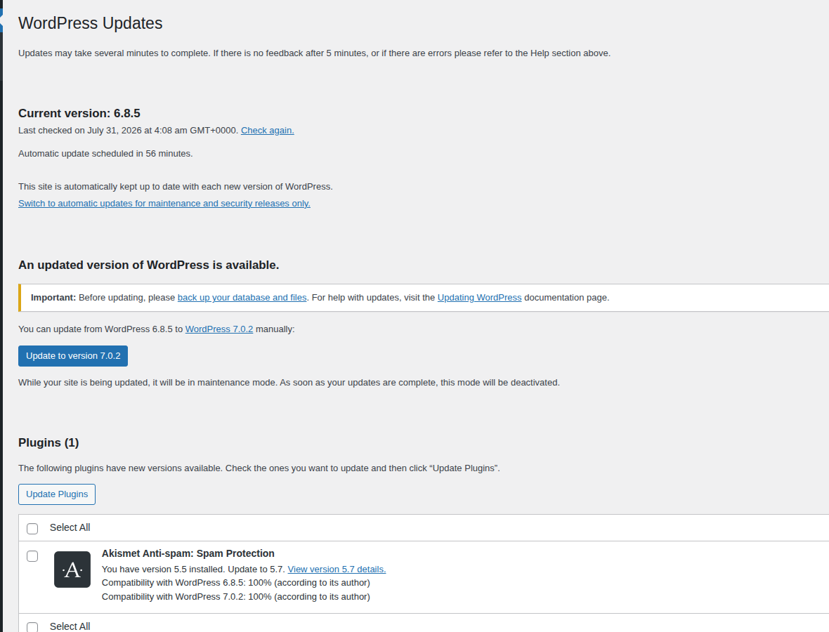 WordPress Updates screen for checking core plugin and theme security updates