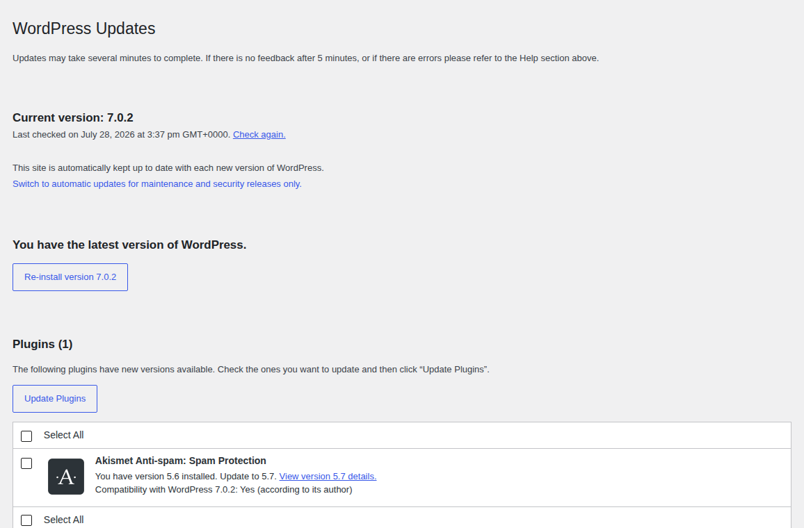WordPress updates screen showing visible maintenance work for a WooCommerce store