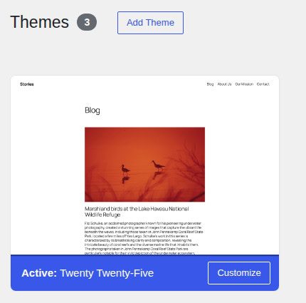 WordPress Themes screen showing the active default theme