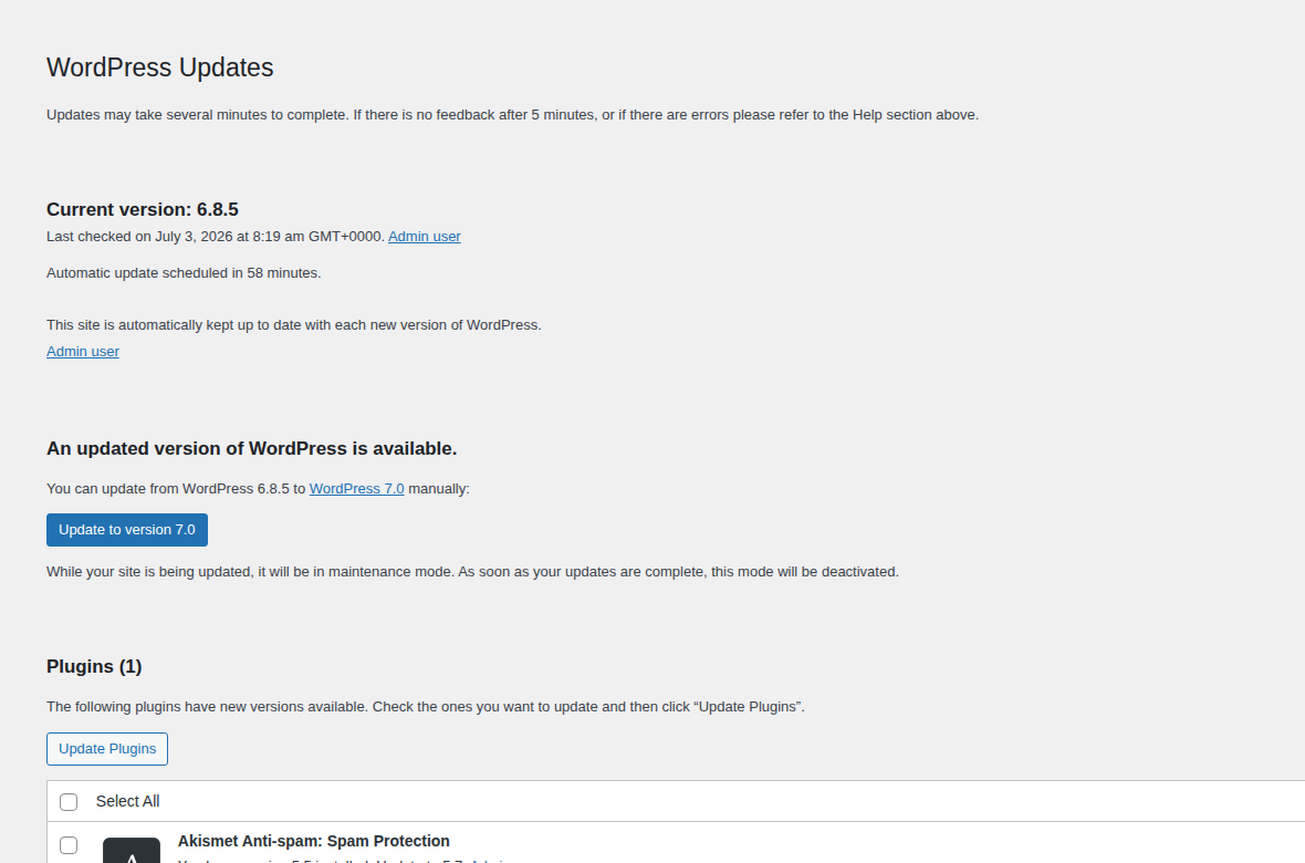WordPress updates screen showing pending core and plugin updates