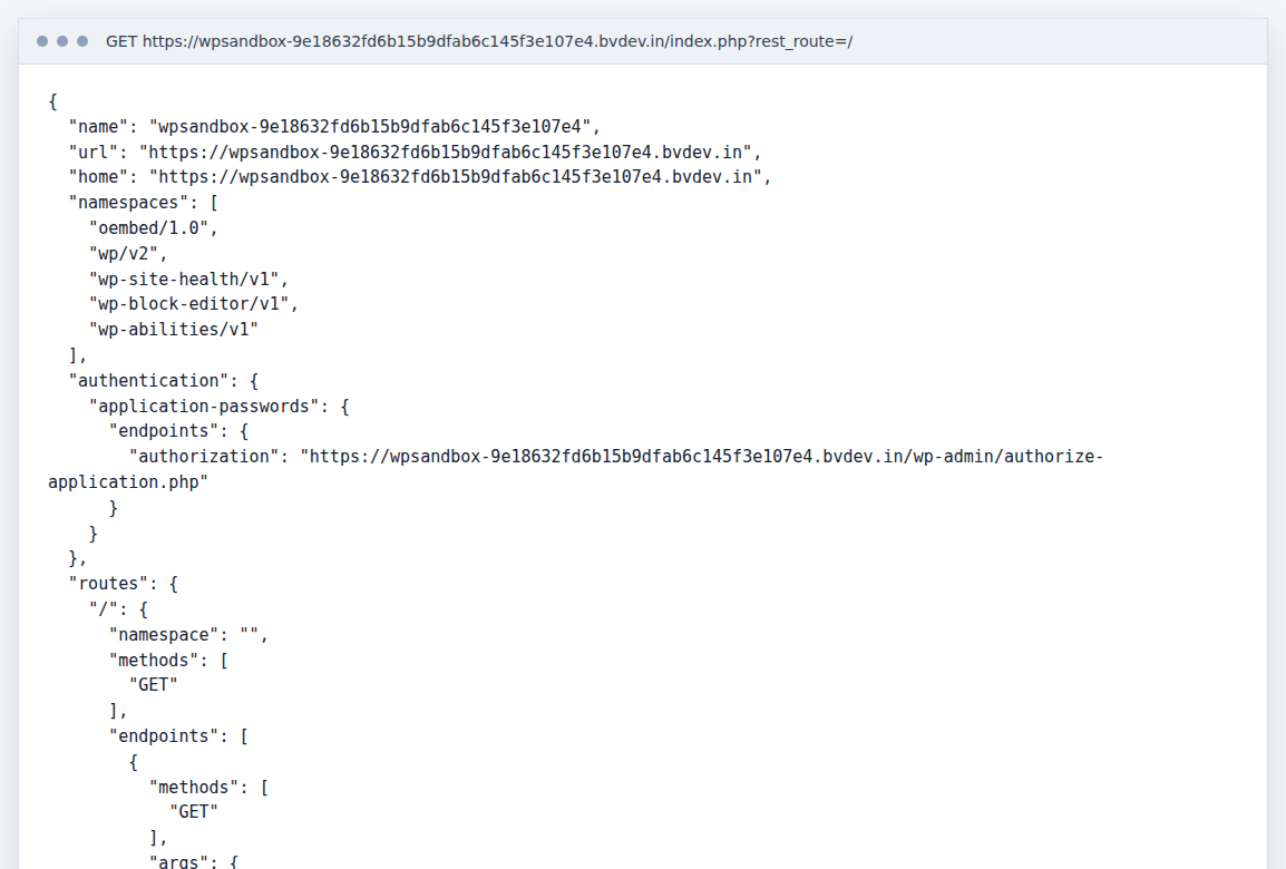 WordPress REST API index response in the browser