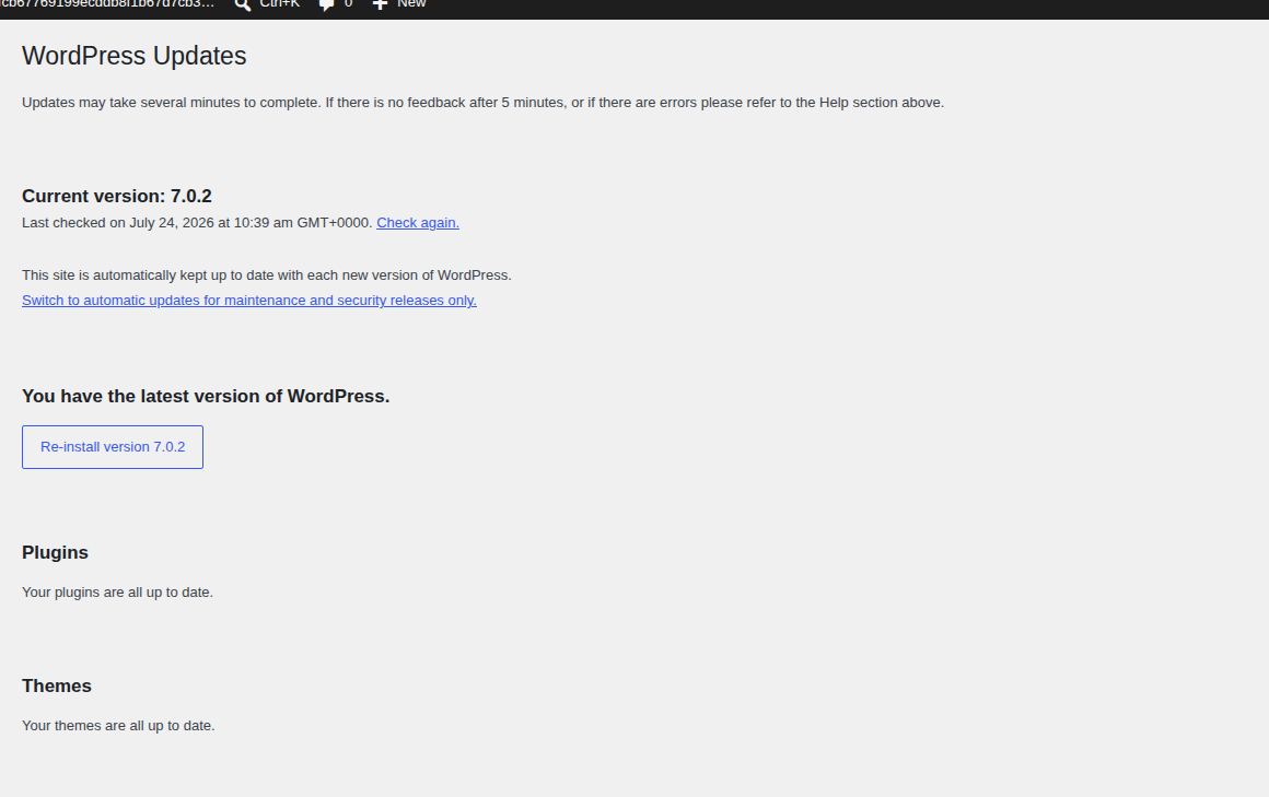 WordPress Updates screen for patch management