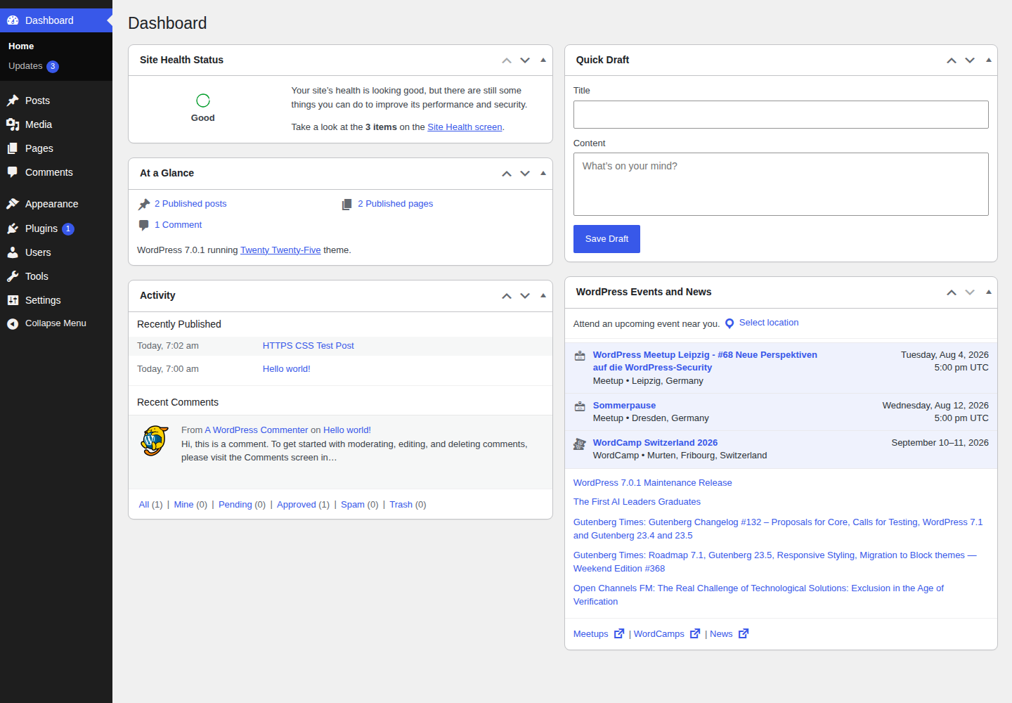 WordPress dashboard showing the separate admin asset context
