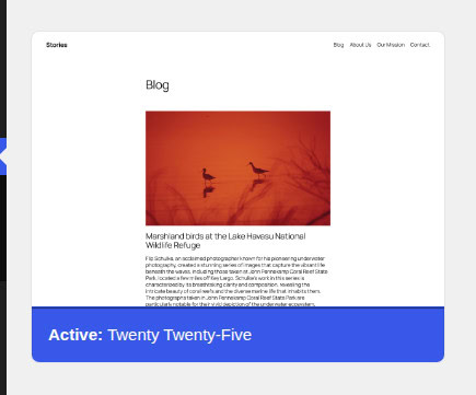 WordPress Themes screen showing the active default theme