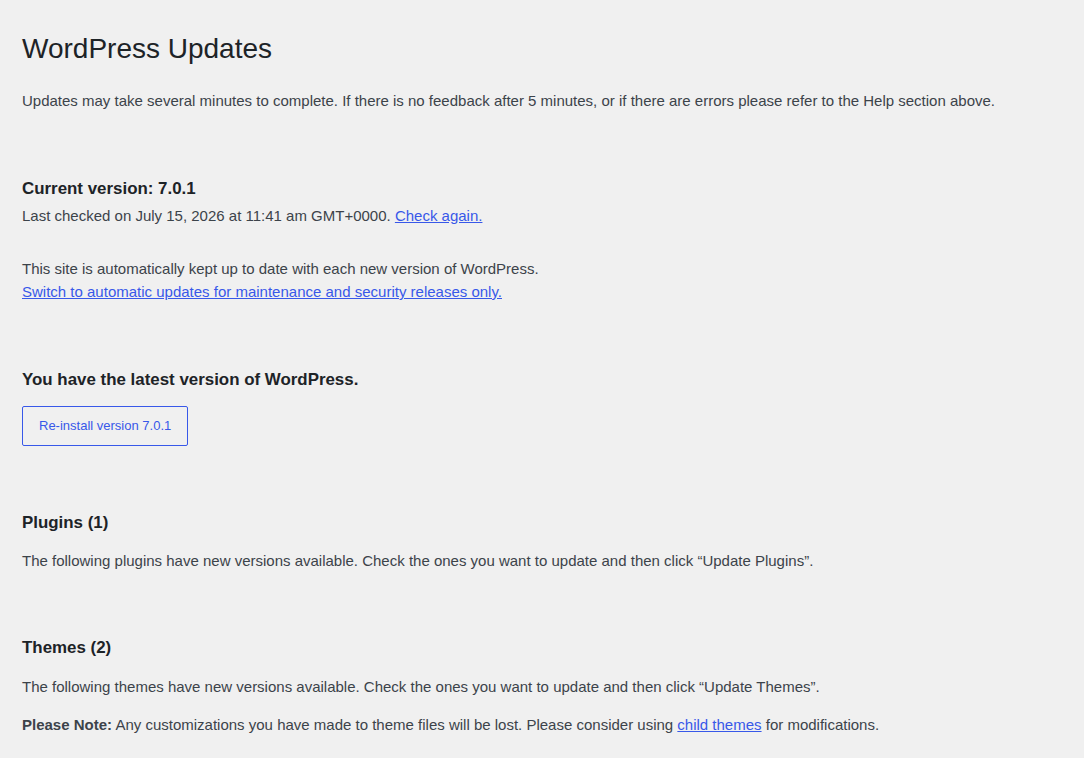 WordPress Dashboard Updates screen for maintenance checks